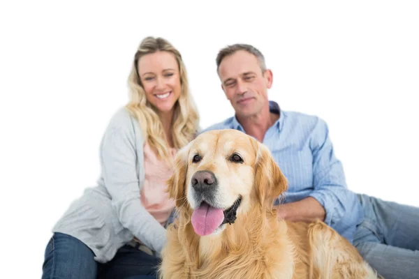 Ontspannen paar met huisdier hond — Stockfoto