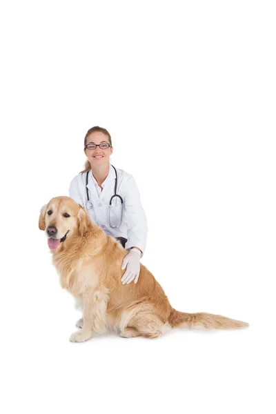 Lachende dierenarts met labrador — Stockfoto