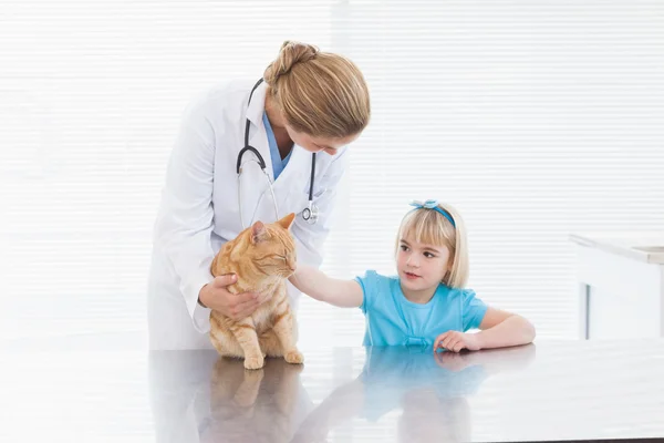 Veteriner holding kedi — Stok fotoğraf