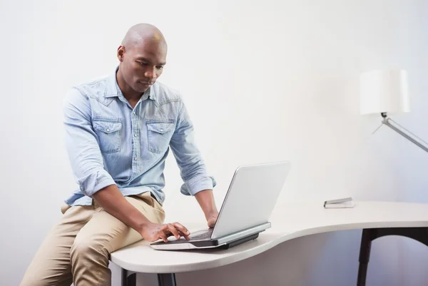 Businessman using laptop at desk — Stock Photo, Image