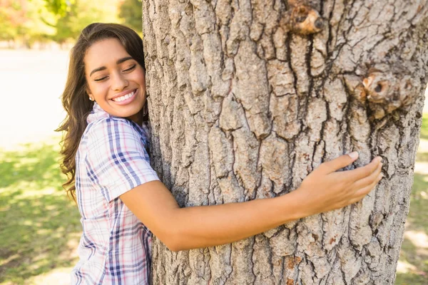 Árvore abraçando morena bonita — Fotografia de Stock