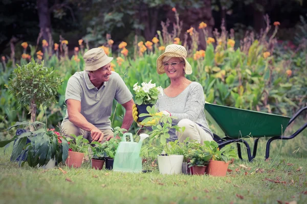 Gelukkig oma en opa tuinieren — Stockfoto