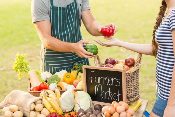 Boer peper geven aan klant — Stockfoto