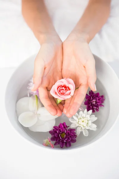 Руки держат лепестки цветов — стоковое фото