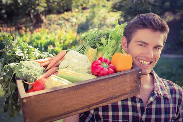 Pohledný farmář s košem zeleniny — Stock fotografie