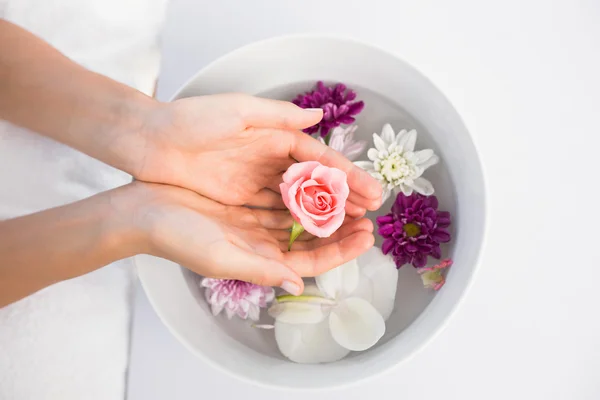 Mani che tengono petali di fiore — Foto Stock