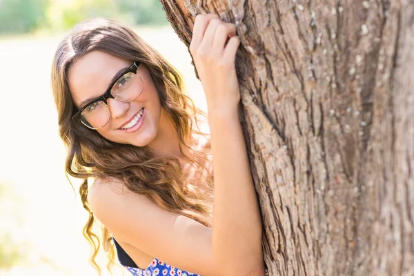 Pretty brunette hugging tree — Stock Photo, Image