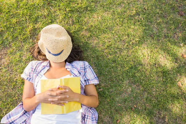 Jolie brune reposant dans l'herbe — Photo