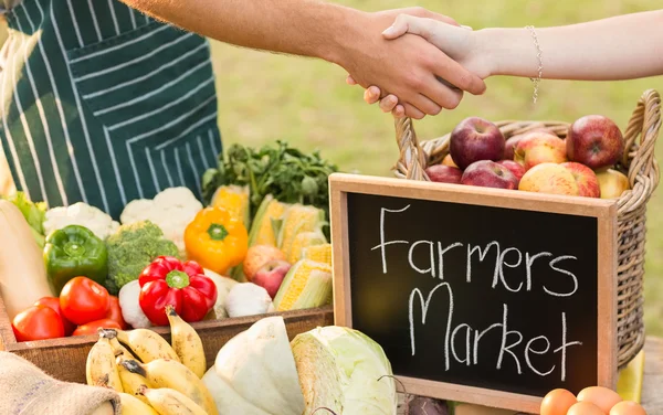 Farmer shaking his customers hand — Stock Photo, Image