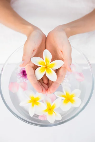 Hands holding petals of flower — Stock Photo, Image