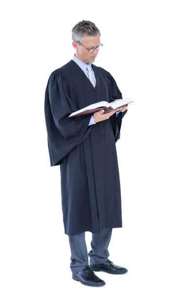 Advogado bonito segurando código de trabalho — Fotografia de Stock