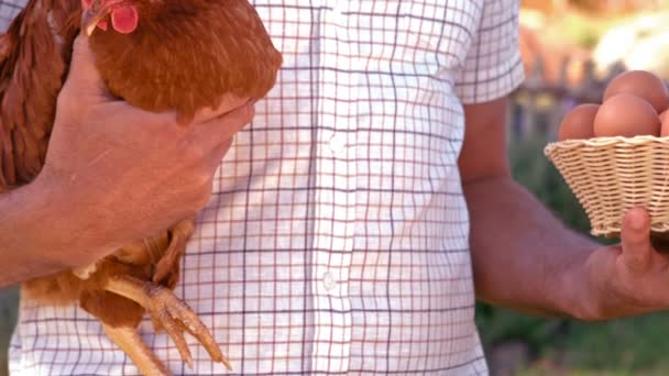 Çiftçi holding tavuk ve yumurta — Stok video