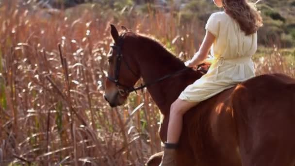 Mujer montando a caballo — Vídeos de Stock