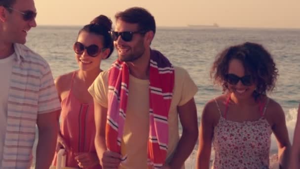 Amigos a punto de hacer una barbacoa en la playa — Vídeo de stock