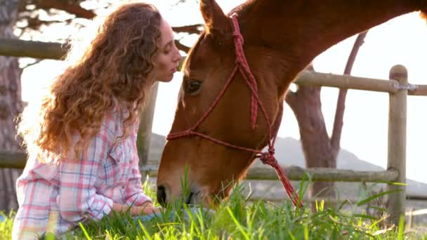 Цілуватися кінь жінка — стокове відео