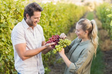 Two young happy vintners holding grapes clipart