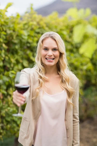 Jovem mulher feliz segurando um copo de vinho — Fotografia de Stock