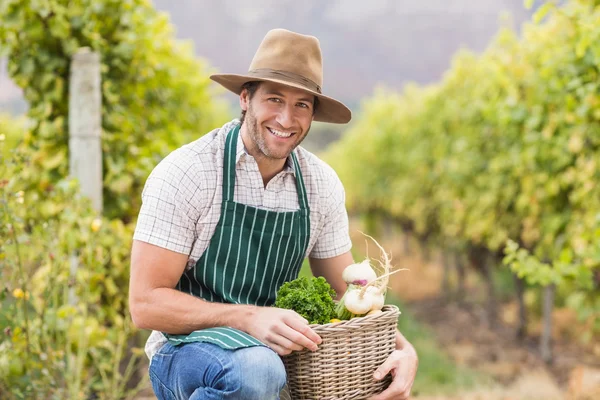 Фермер держит корзину овощей — стоковое фото