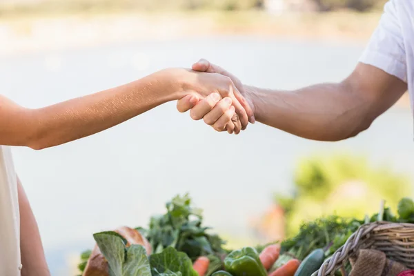 農家と顧客の握手 — ストック写真