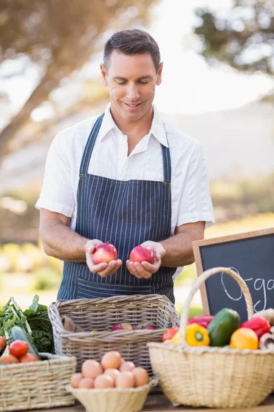 Lachende landbouwer houden twee rode appels — Stockfoto