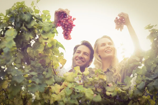 Young happy couple holding grapes — Stock Photo, Image