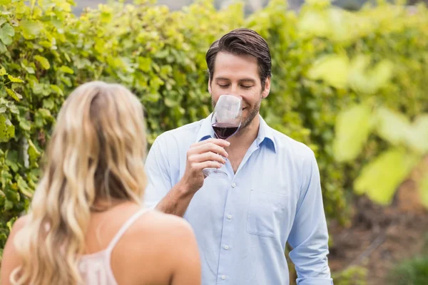 Young happy couple tasting wine — Stock Photo, Image