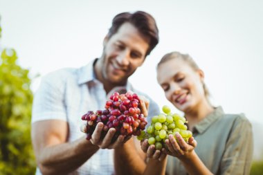 Two young happy vintners holding grapes clipart