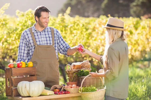 Cliente biondo che acquista un peperone rosso — Foto Stock