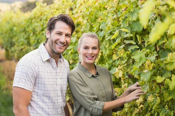 Two young happy vintners — Stock Photo, Image