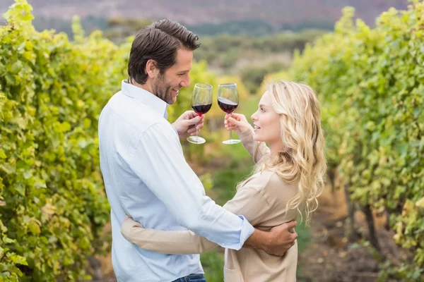 Young happy couple toasting — Stock Photo, Image