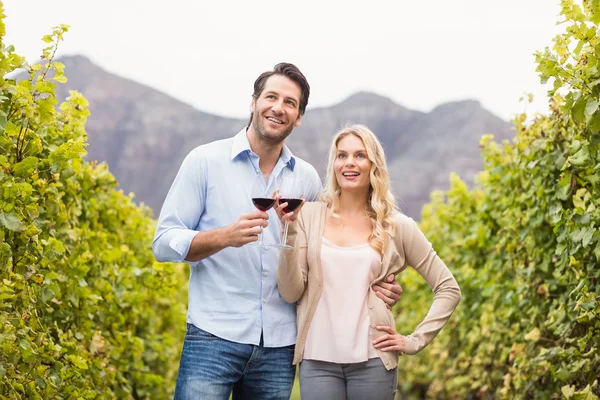 Young happy couple holding a glass of wine — Stock Photo, Image