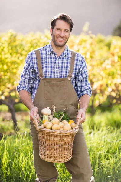 Lachende landbouwer houden een mandje van aardappelen — Stockfoto