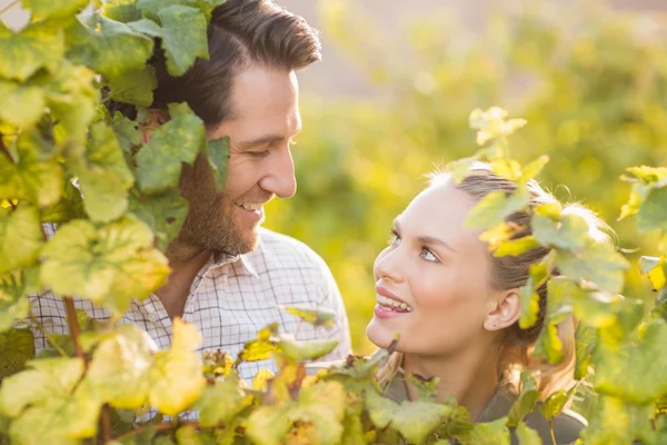 Two young happy vintners looking up — Stock Photo, Image