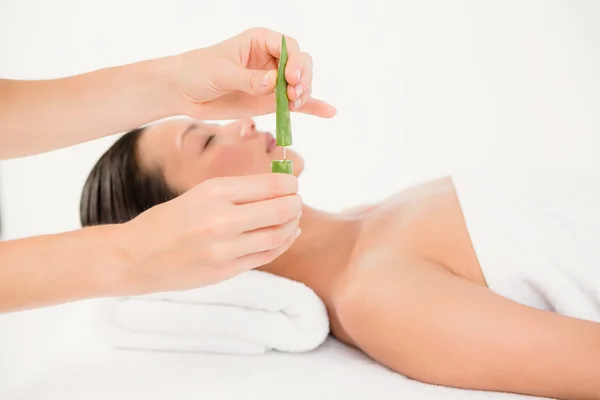 Femme recevant un massage à l'aloe vera — Photo