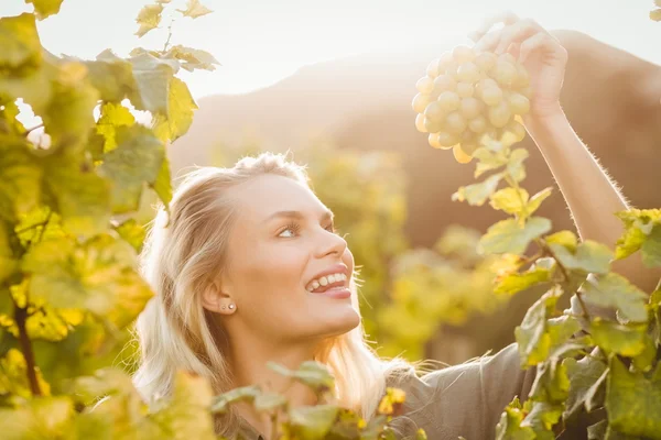 Jovem mulher feliz segurando uvas — Fotografia de Stock