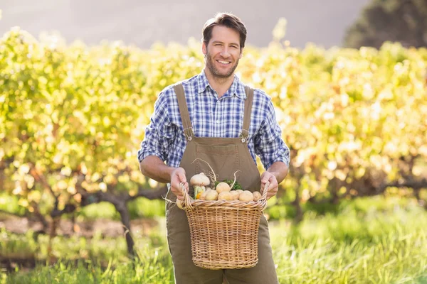 Granjero sonriente sosteniendo una cesta de patatas — Foto de Stock