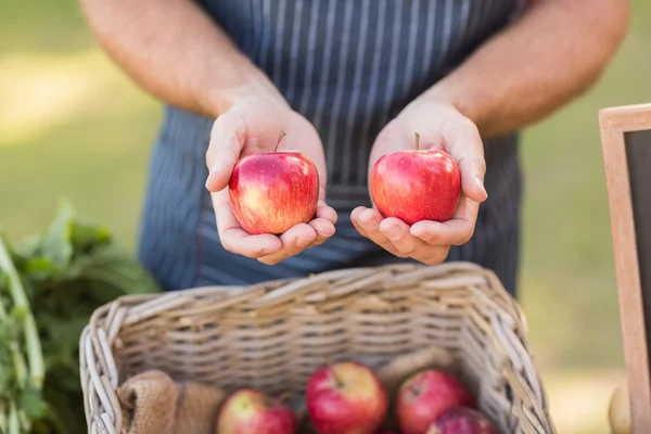 Farmer hands showing two red apples — Stock Photo, Image