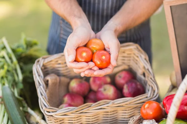 Mãos de fazendeiro mostrando três tomates — Fotografia de Stock