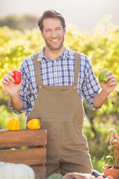 Cheerful farmer holding red and green peppers — Stock Photo, Image