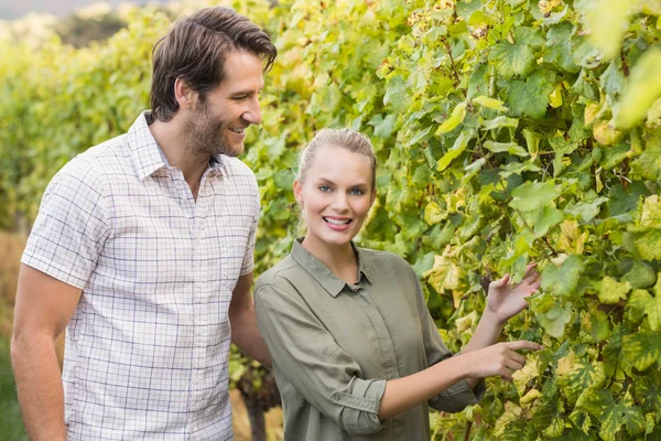 Dos jóvenes viticultores felices mirando a la cámara — Foto de Stock