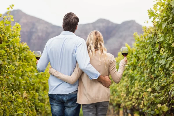 Vista trasera de la pareja sosteniendo copas de vino —  Fotos de Stock