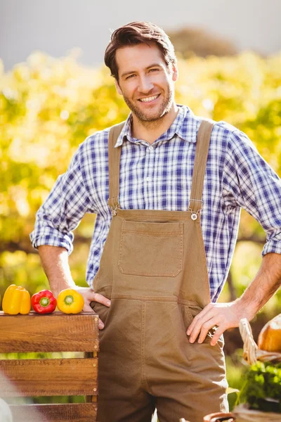 Fermier joyeux avec les mains sur les hanches — Photo