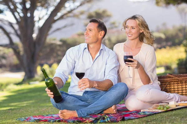 Lächelndes Paar trinkt Wein — Stockfoto