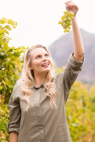 Rubia viticultora sonriente sosteniendo una uva — Foto de Stock