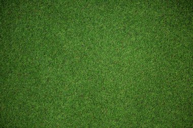 Close up view of astro turf clipart