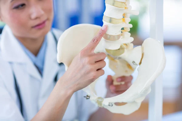 Médico mostrando coluna anatômica — Fotografia de Stock