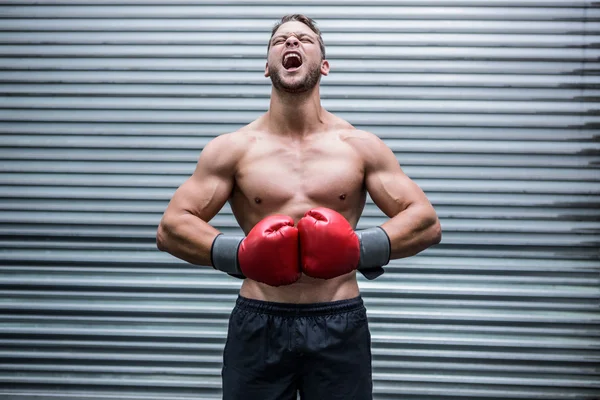 悲鳴を上げる筋肉ボクサー — ストック写真