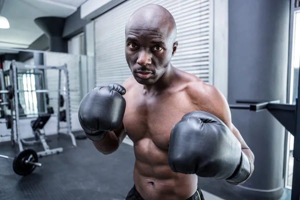 Jeune bodybuilder posant devant la caméra — Photo