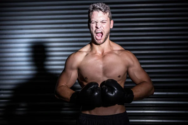 Muscular boxer screaming — Stock Photo, Image