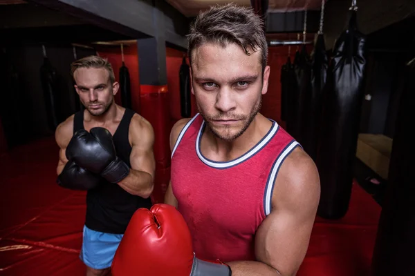 Boksen mannen in de fitnessstudio — Stockfoto